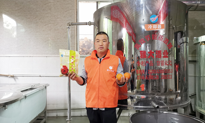 4.7张总一行人来杏耀学习血橙酒的酿酒生产工艺