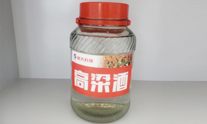 11.2杏耀高粱酒