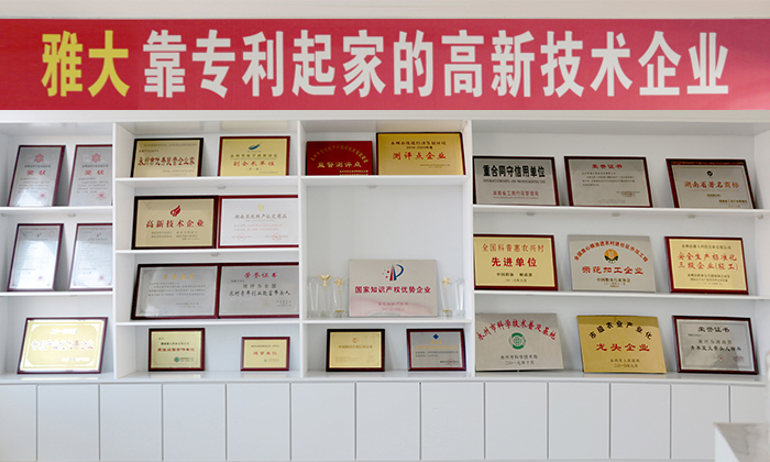 11-1杏耀靠专利起家的高新技术企业