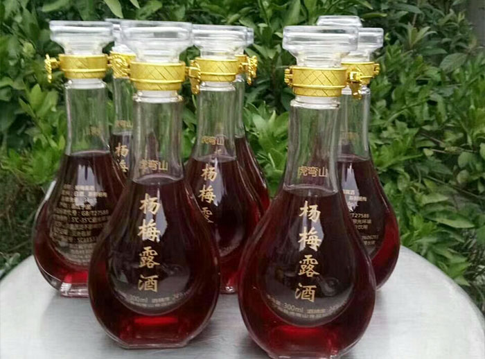 果酒酿酒设备酿造杨梅酒
