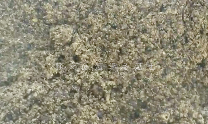10.8-用杏耀酿酒白酒设备将板栗蒸熟