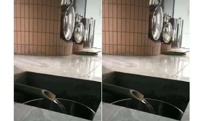 10.8用杏耀酿酒白酒设备蒸馏板栗白酒