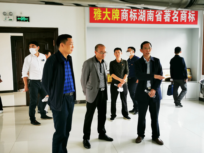 8宁勇华一行参观杏耀综合展厅