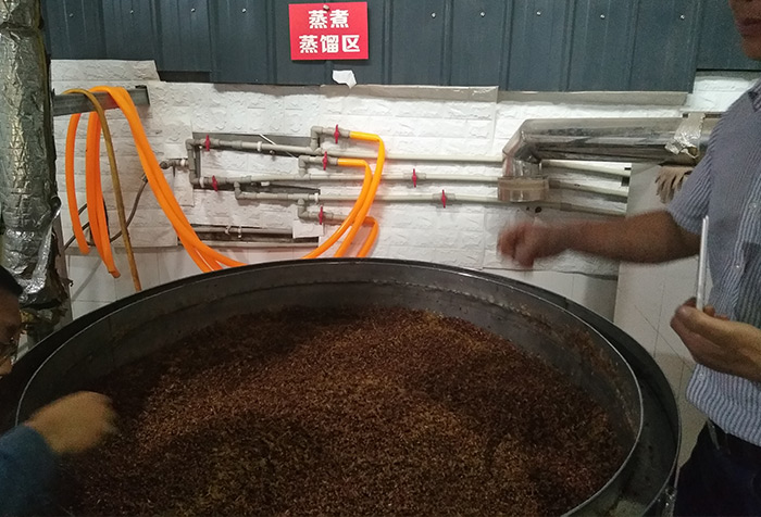 9.24用杏耀酿酒设备蒸馏五粮酒