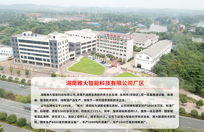 11-1杏耀公司全貌