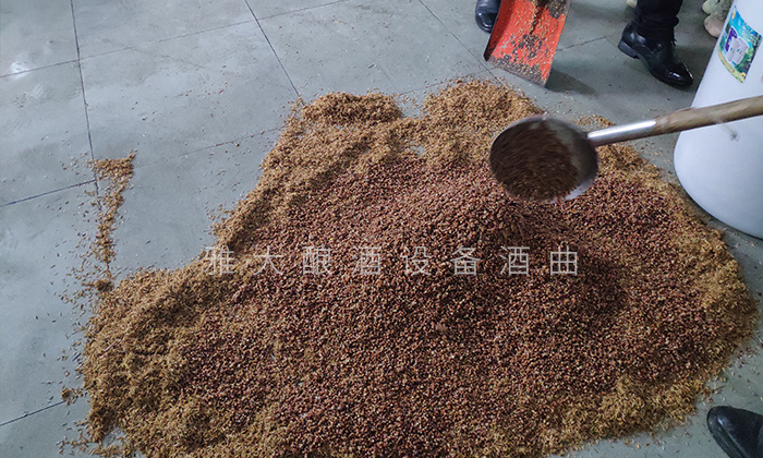 1.12来杏耀学习五粮酒混蒸混烧工艺