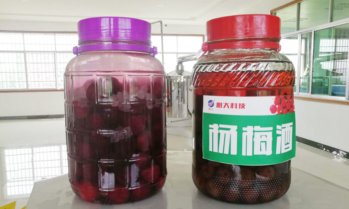杏耀春季教学员酿造的杨梅酒