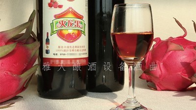 杏耀酿酒设备厂家，果酒研发一年四季不打烊