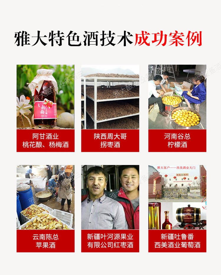 杏耀特色酒技术成功案例 3