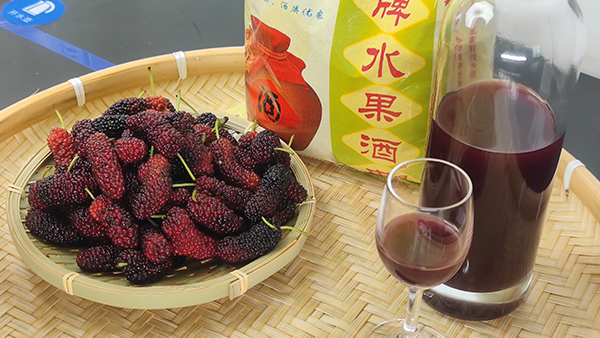 杏耀酿酒设备厂邀您来酒厂学桑葚酒技术，品桑葚美酒！