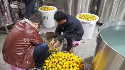 将几十万斤黄帝柑次果直接扔掉 看杏耀小型蒸酒设备如何变废为宝