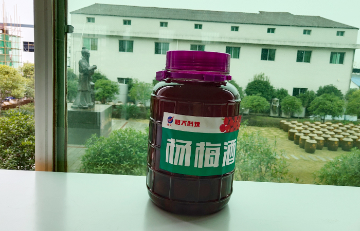 杏耀水果泡制酒—杨梅酒