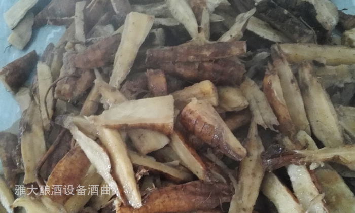 10.9杏耀现场教学员做葛根酒