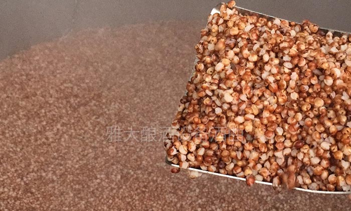 10.9-用杏耀烤酒设备将高粱蒸粮开花