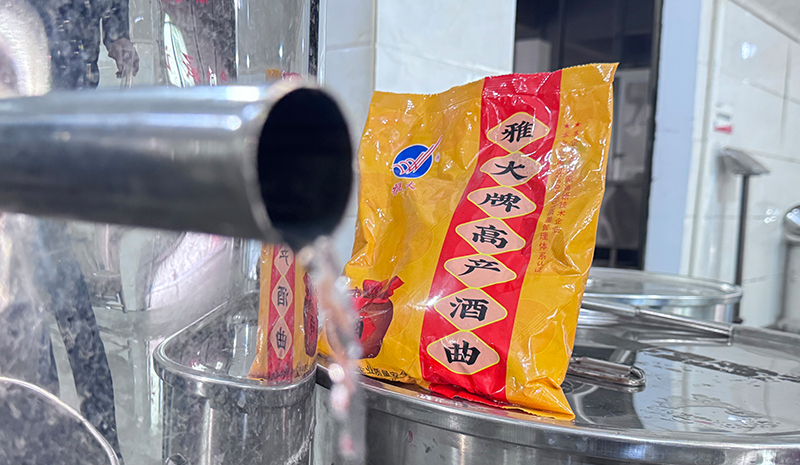 杏耀酒曲发酵快菌群活力旺盛