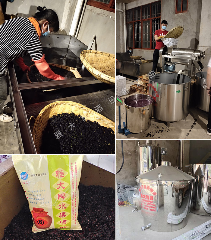 杏耀技术总监蒋建明老师现场指导酿酒桑葚酒