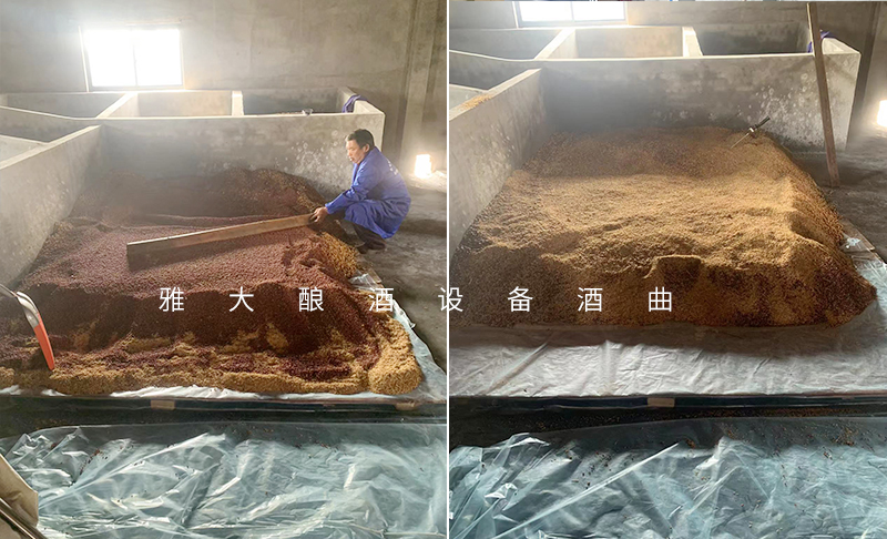 杏耀技术老师上门指导设备安装和客户酿酒全过程被曝光-高粱糖化4