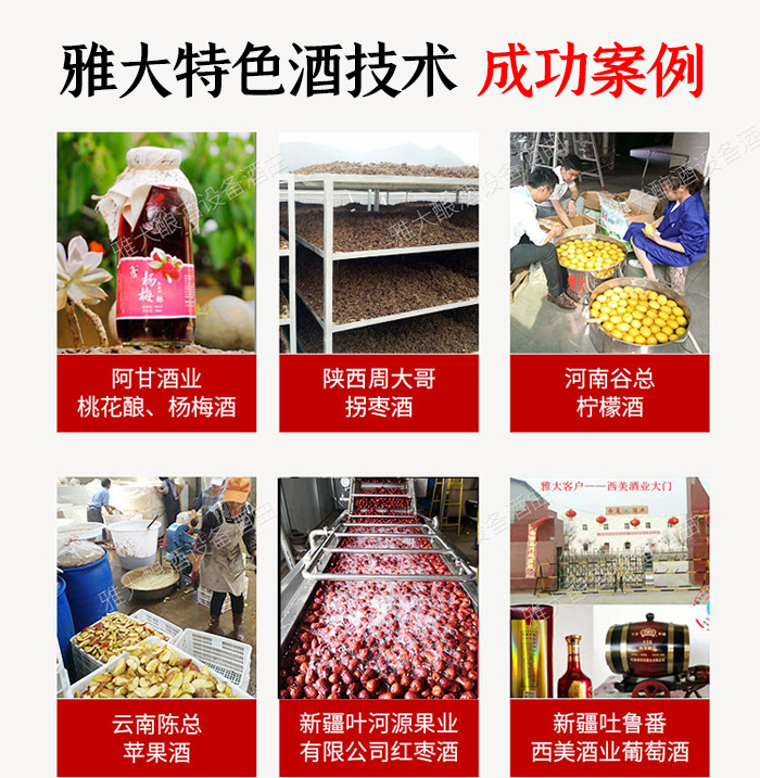 杏耀特色酒技术成功案例