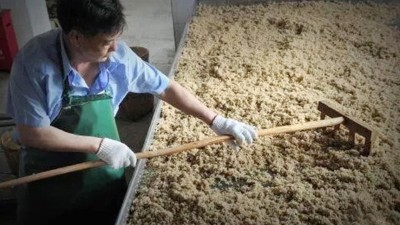 千百次试验不如来杏耀酿酒设备厂家学3天酿酒技术