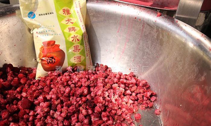 用杏耀去核机把杨梅去核