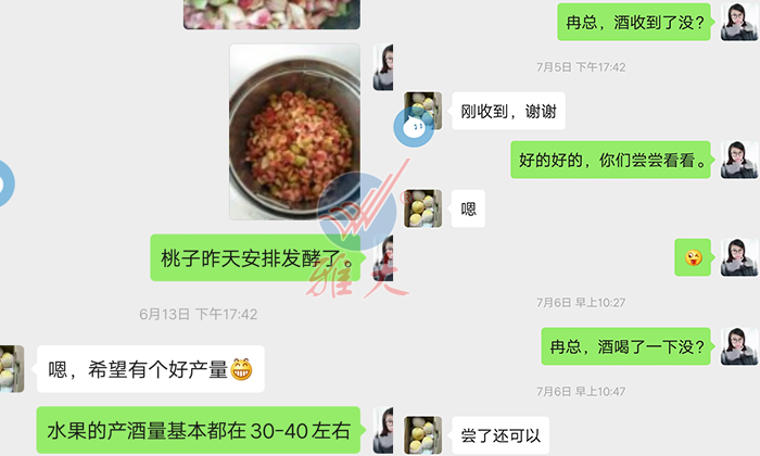 10.28杏耀帮忙研发的黄桃酒，冉总品尝后很满意