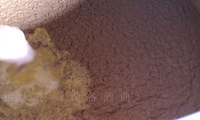 10.28蒋总上门指导黄桃发酵2