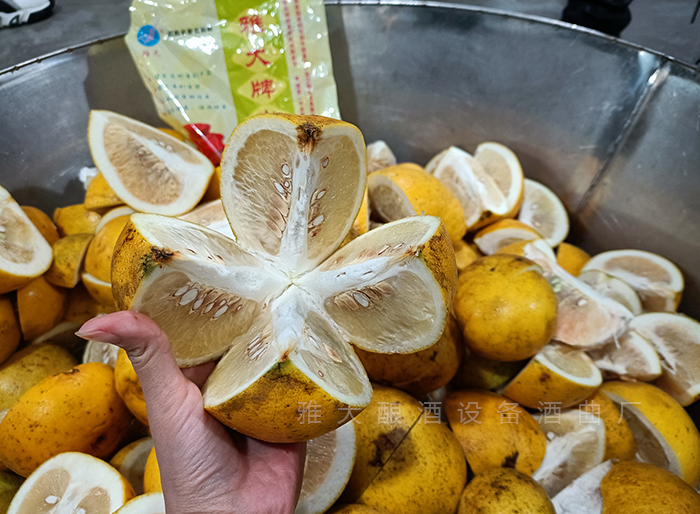 杏耀帮彭总研发样品酒