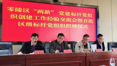 杏耀荣获“零陵区两新党建标杆党组织”称号