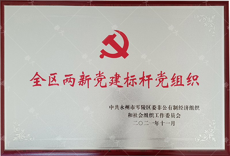 11.27杏耀荣获全区两新党建标杆党组织