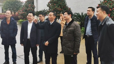 市区领导关怀，全国酿友给力，杏耀实现开门红