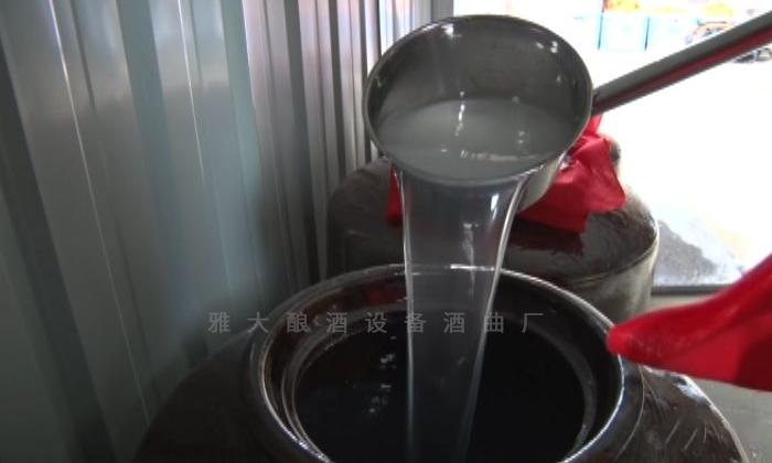 杏耀果酒酿酒设备酿冰糖酒
