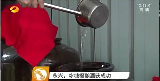 永兴冰糖橙滞销 曹总引杏耀烤酒设备靠“酿”带动销量