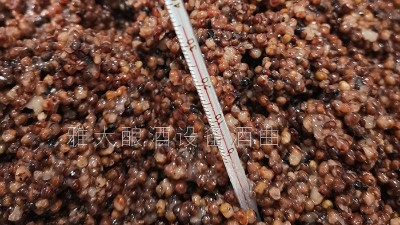夏季用烤酒设备酿酒全攻略，零失败酿酒有妙招
