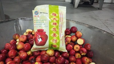 龙丰果酒怎么酿？杏耀小型酒厂酿酒设备现场教您酿！