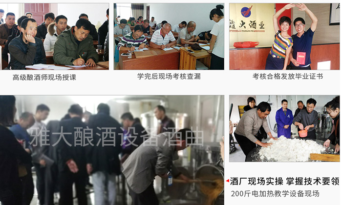 8.12在杏耀学习酿酒技术流程