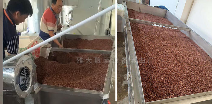 杏耀技术老师上门指导设备安装与技术教学