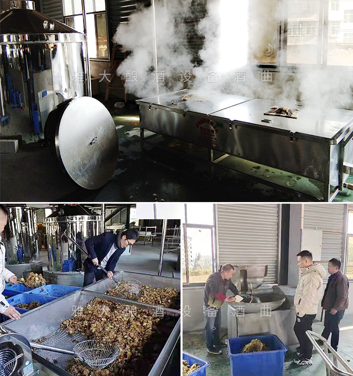 2-24杏耀技术老师上门指导酿造黄精酒